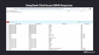 DeepSeek 数据库……裸奔……百万敏感数据任人取……