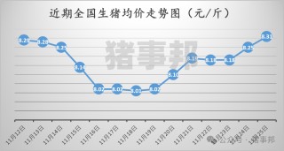 11月25日猪价汇总（涨势收窄，明日猪价或有变！）