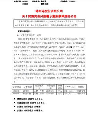 月刊[智财资本]10万股民懵了！86亿元收入竟是假的，上市公司锦州港及时任高管拟被罚2300万，更大的麻烦还在后面