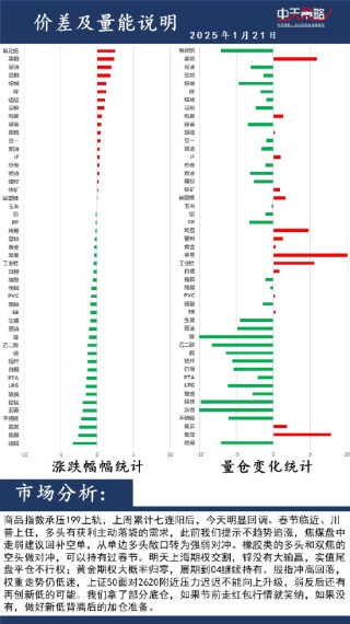 中天策略:1月21日市场分析