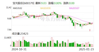 宝光股份：预计2024年净利润同比增加27.85%