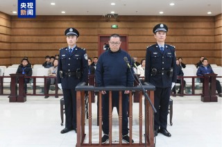 中国华融国际控股有限公司原总经理白天辉受贿案二审宣判