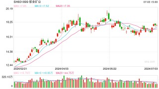 全球头部矿企生力军再投重磅！紫金矿业：铜矿增储取得重大突破