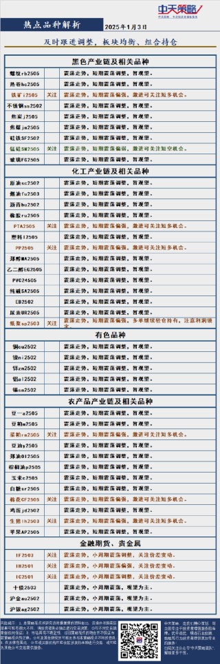 中天策略:1月3日市场分析