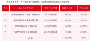 又见地方国资成为民营银行第一大股东：安徽新安银行国资持股比例升至51%