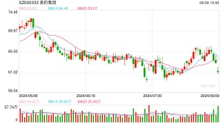 美的集团启动港股年内 最大IPO