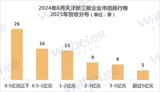 2024年6月天津新三板企业市值排行榜：13家企业去年净利润超3000万元