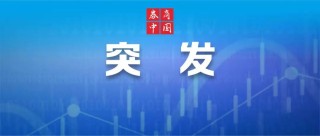突发！“稀土大国”马拉维副总统，飞机失联！稀土探明储量逾3000万吨，居非洲国家之首