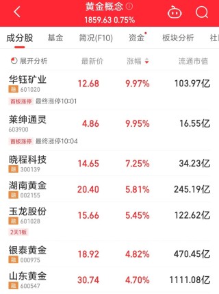 股价涨停，百亿市值A股公司华钰矿业回应！黄金股走高