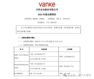 万科被“收编”：辛杰的上位更像是大股东意志的直接反映