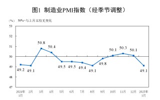1月份制造业PMI为49.1%，比上月下降1个百分点