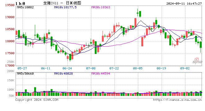 每日猪讯9.11-第2张图片