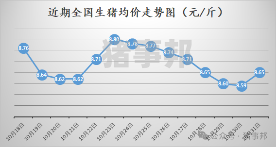 10月31日猪价汇总（多数地区反弹！）-第3张图片