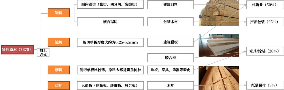 【原木专题】木本水源：原木期货上市预热——供需结构篇-第11张图片