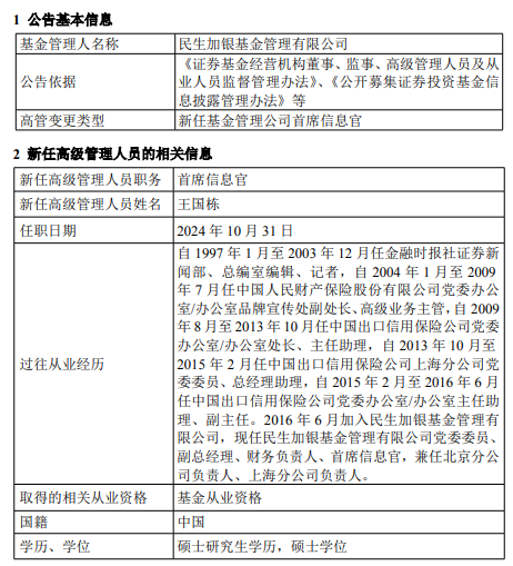 民生加银基金新任王国栋为首席信息官-第1张图片
