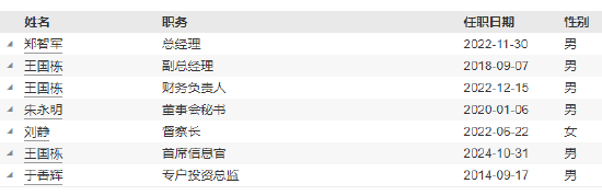 民生加银基金新任王国栋为首席信息官-第4张图片