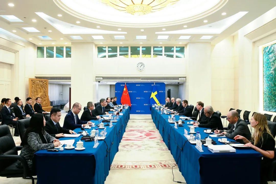 商务部部长王文涛会见瑞典对外援助与外贸大臣杜萨-第2张图片