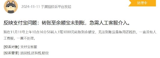 “双11”当天支付宝崩了？今年已出现三次-第1张图片