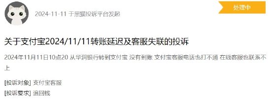 “双11”当天支付宝崩了？今年已出现三次-第2张图片