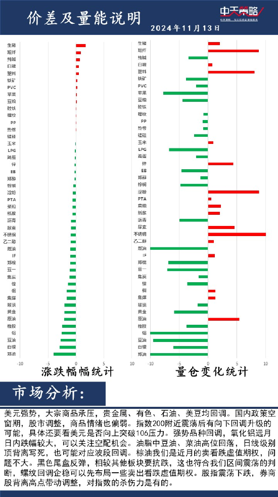 中天策略:11月13日市场分析-第2张图片
