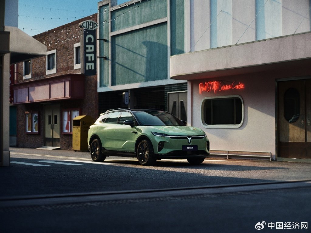 2024中国新能源汽车1000万辆达成-第4张图片