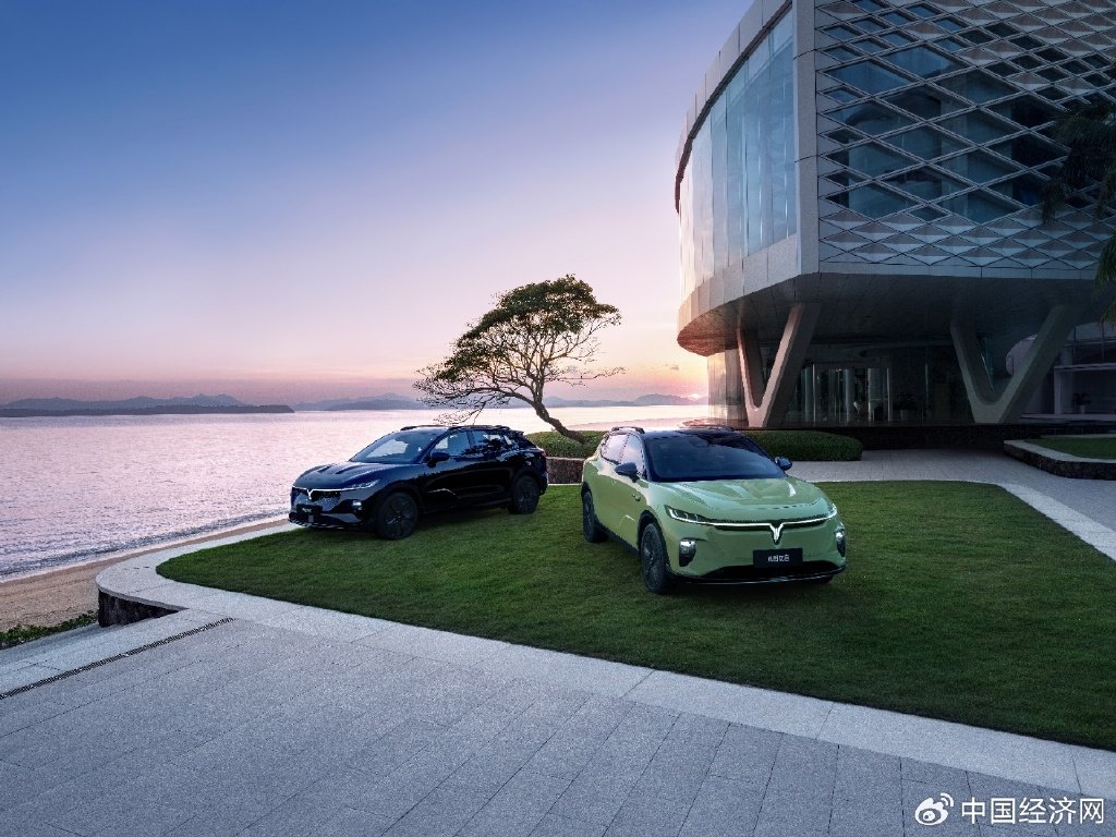 2024中国新能源汽车1000万辆达成-第5张图片