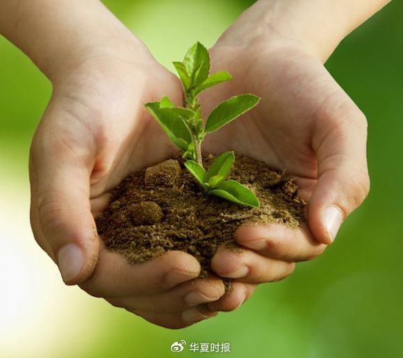 2024中国环境企业营收TOP50发布：光大连续6年稳居第一-第1张图片