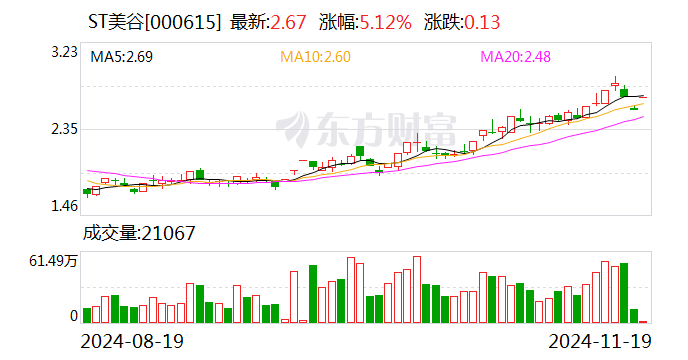 ST美谷收监管函：财务信息披露不准确致多项财务指标追溯调整-第1张图片