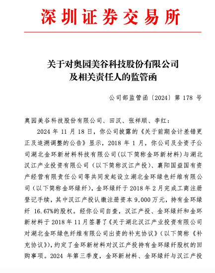 ST美谷收监管函：财务信息披露不准确致多项财务指标追溯调整-第2张图片