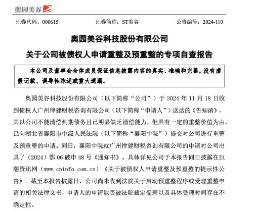 ST美谷收监管函：财务信息披露不准确致多项财务指标追溯调整-第3张图片