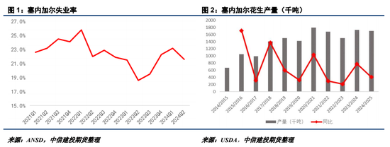 【建投点评】花生：进口米悬念再起，到港节奏或有变-第3张图片