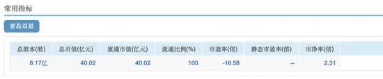“砸锅卖铁”并购锦湖轮胎，青岛双星能否走出亏损泥潭？-第2张图片