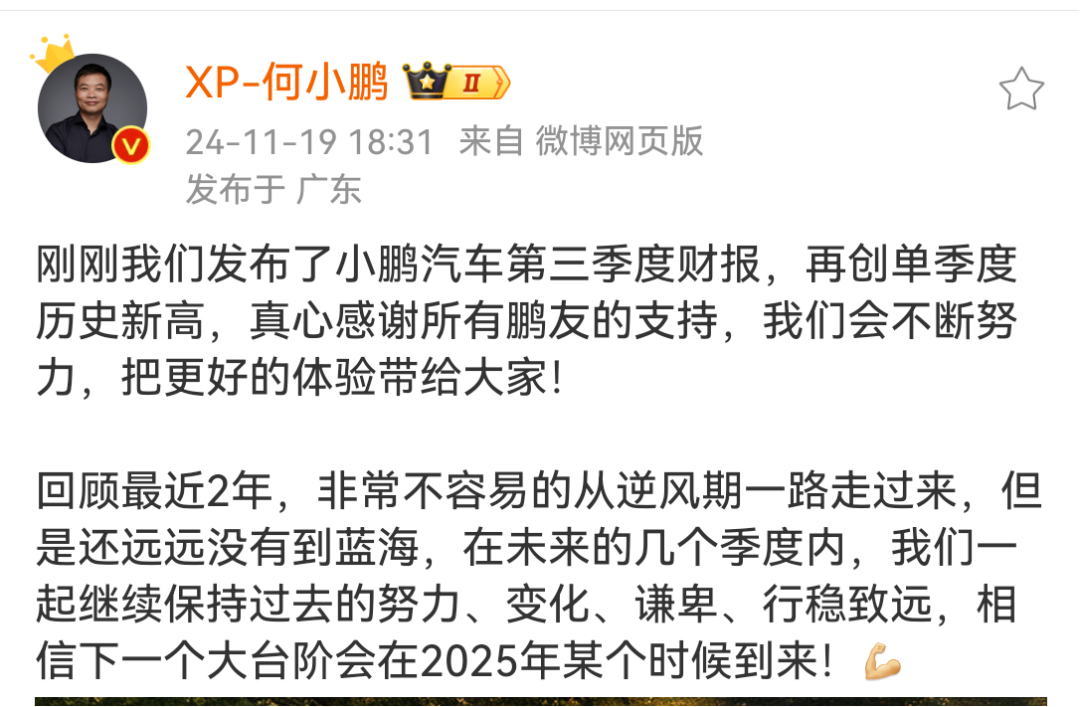 “在血海中游泳”！何小鹏发声-第2张图片