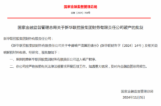 新华联控股破产获批-第1张图片