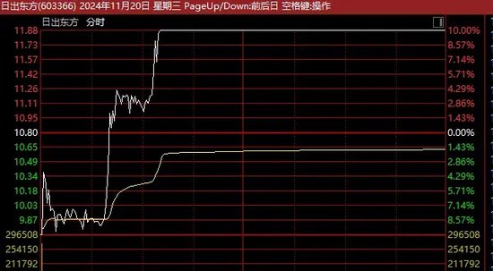 13天11板、12连板牛股，最新发声！-第2张图片