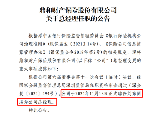“国寿系”刘东掌舵 鼎和财险能否转危为安？-第1张图片