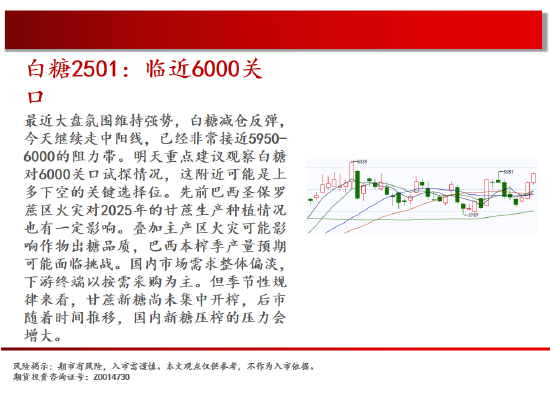 中天期货:棕榈开始补跌 60日均线反弹-第15张图片