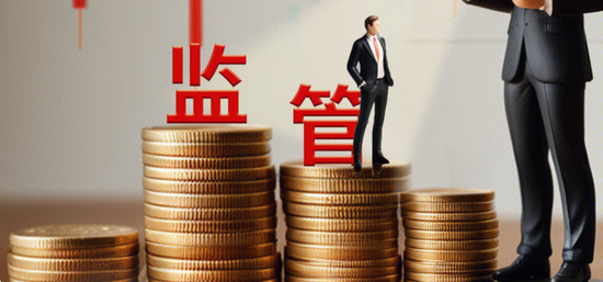 美女总经理带头财务造假，海伦哲索赔2.48亿-第10张图片