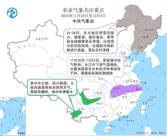 玉米：反复探底-第29张图片