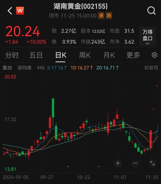 一地发现超40条金矿脉，这只黄金股躺赢？公司最新回应！AI医疗有新利好-第2张图片