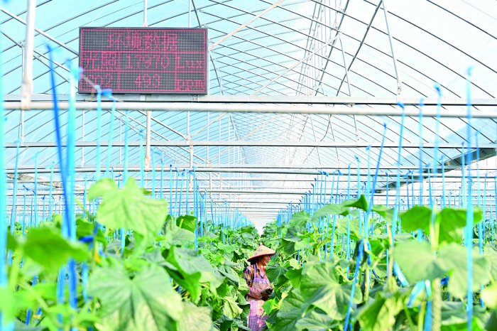 四部门发文剑指农业保险关键环节-第1张图片