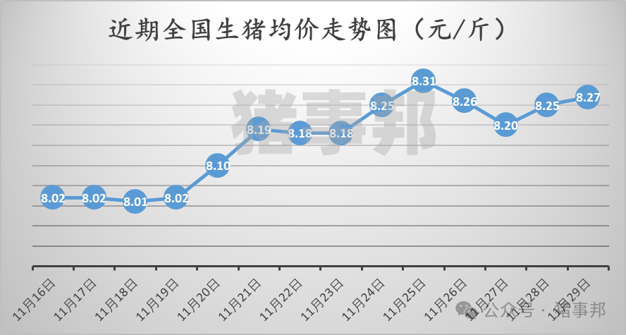 11月29日猪价汇总（市场心态不一，情绪转弱！）-第3张图片