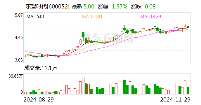 东望时代：公司子公司目前暂未涉及智能电网或者虚拟电厂-第1张图片