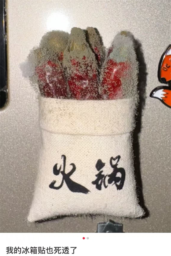 168元一个还得摇号！冰箱贴凭啥这么火-第13张图片