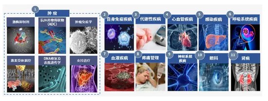 3000亿恒瑞也怕“内卷”？孙飘扬直言“出海太贵”！-第1张图片