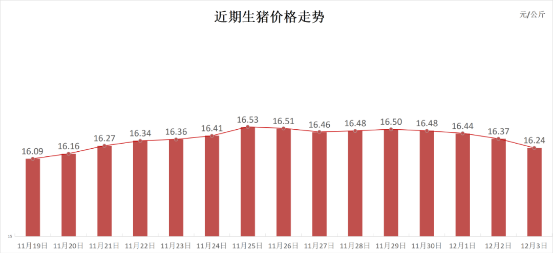 每日猪讯12.3-第3张图片