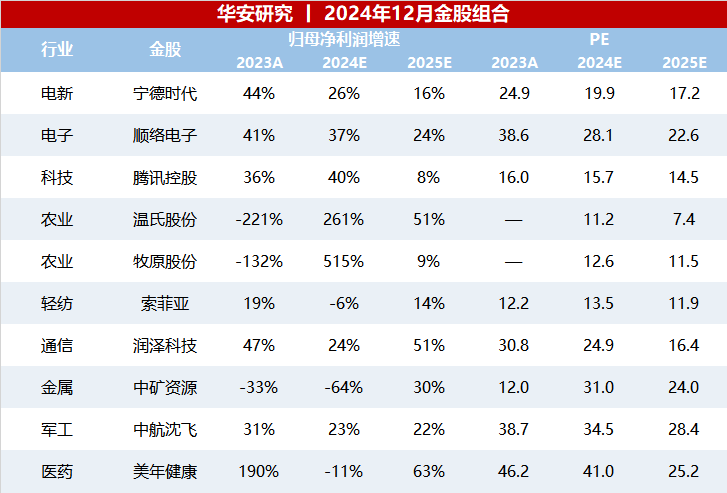 12月十大金股-第1张图片