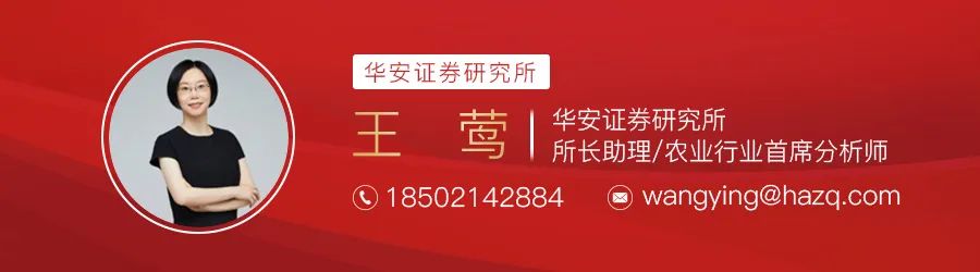 12月十大金股-第6张图片