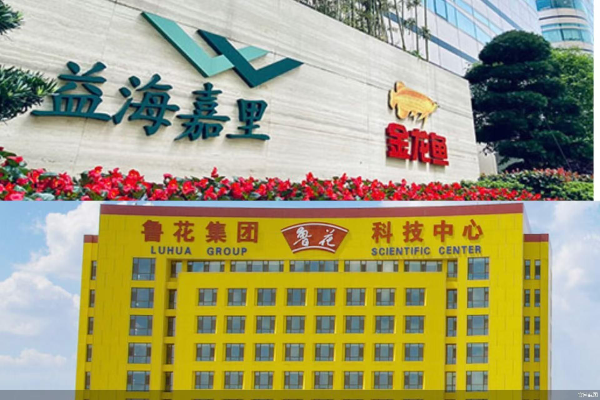 金龙鱼正式入股鲁花，食用油市场格局生变？-第1张图片