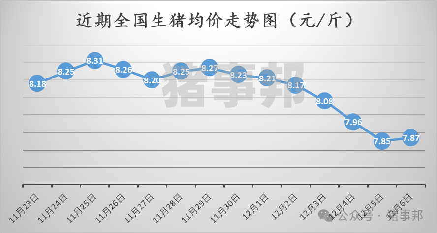12月6日猪价汇总（北方反弹，南方稍弱！）-第3张图片